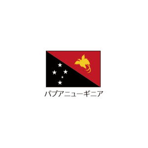 卓上国旗 パキスタン 国旗 卓上国旗ハ ン行 レンタル商品 レンタル機材は何んでも貸します近藤産興へ